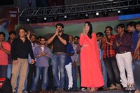 Pilla Nuvvuleni Jeevitham Audio Success Meet